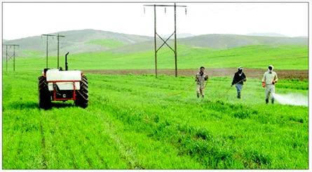 مزایا و معایب سموم شیمیایی