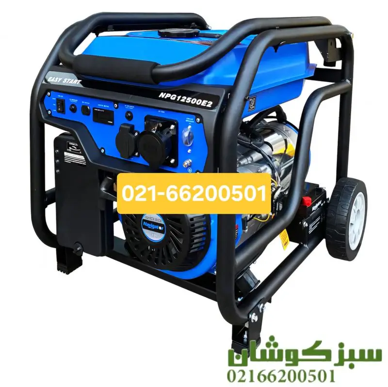 موتور برق بنزینی 5.5 کیلووات تورکسر مدل TORXER TPG7500E2