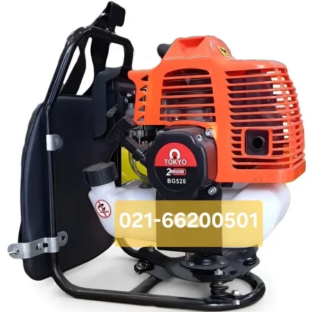 علف زن پشتی توکیو